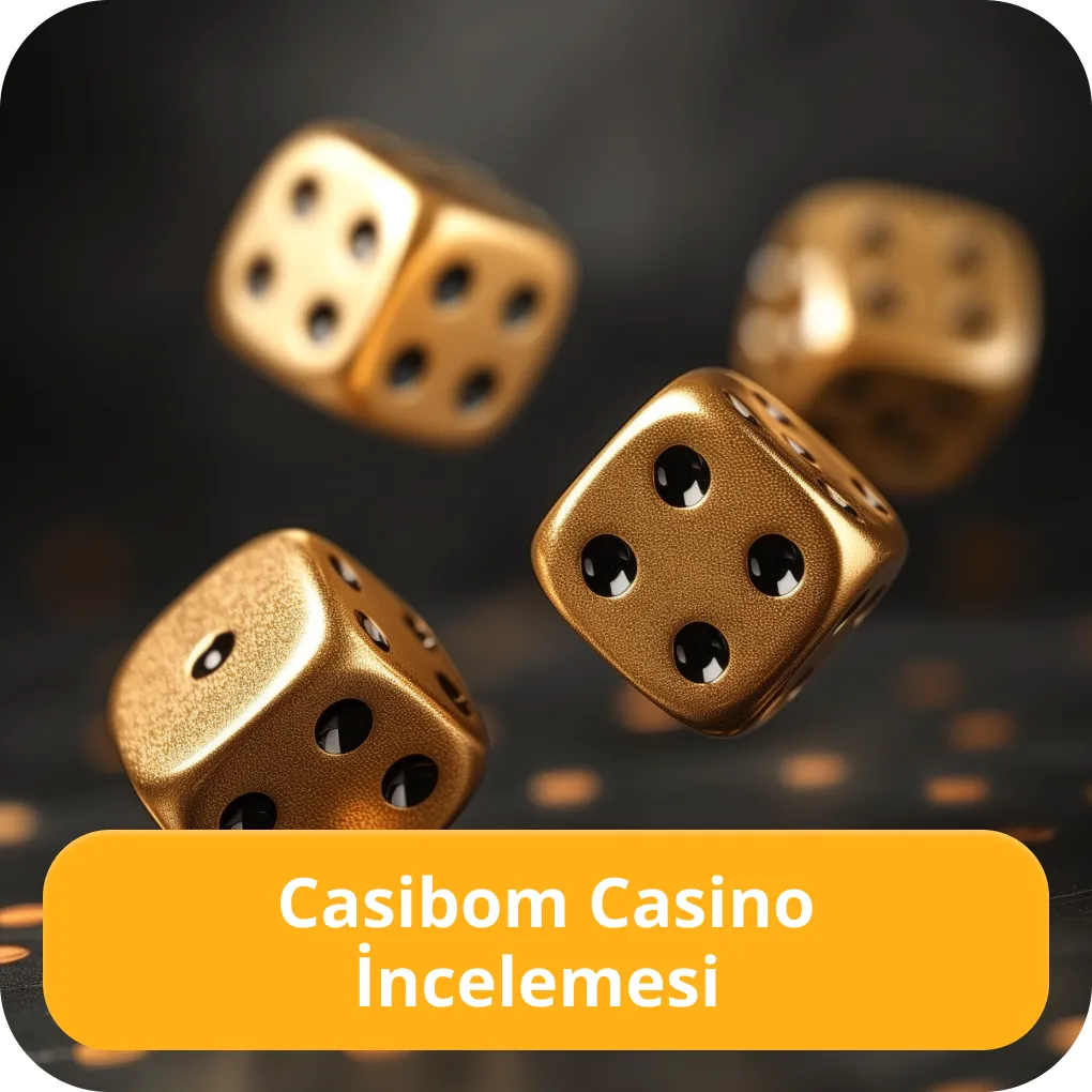 Casiboom inceleme